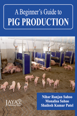 Beginner’s Guide to Pig Production