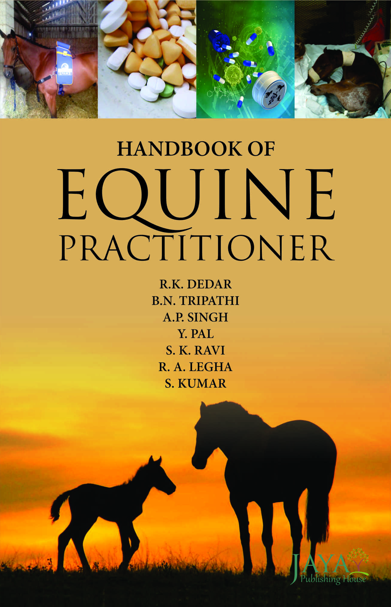 Handbook of Equine Practitioner