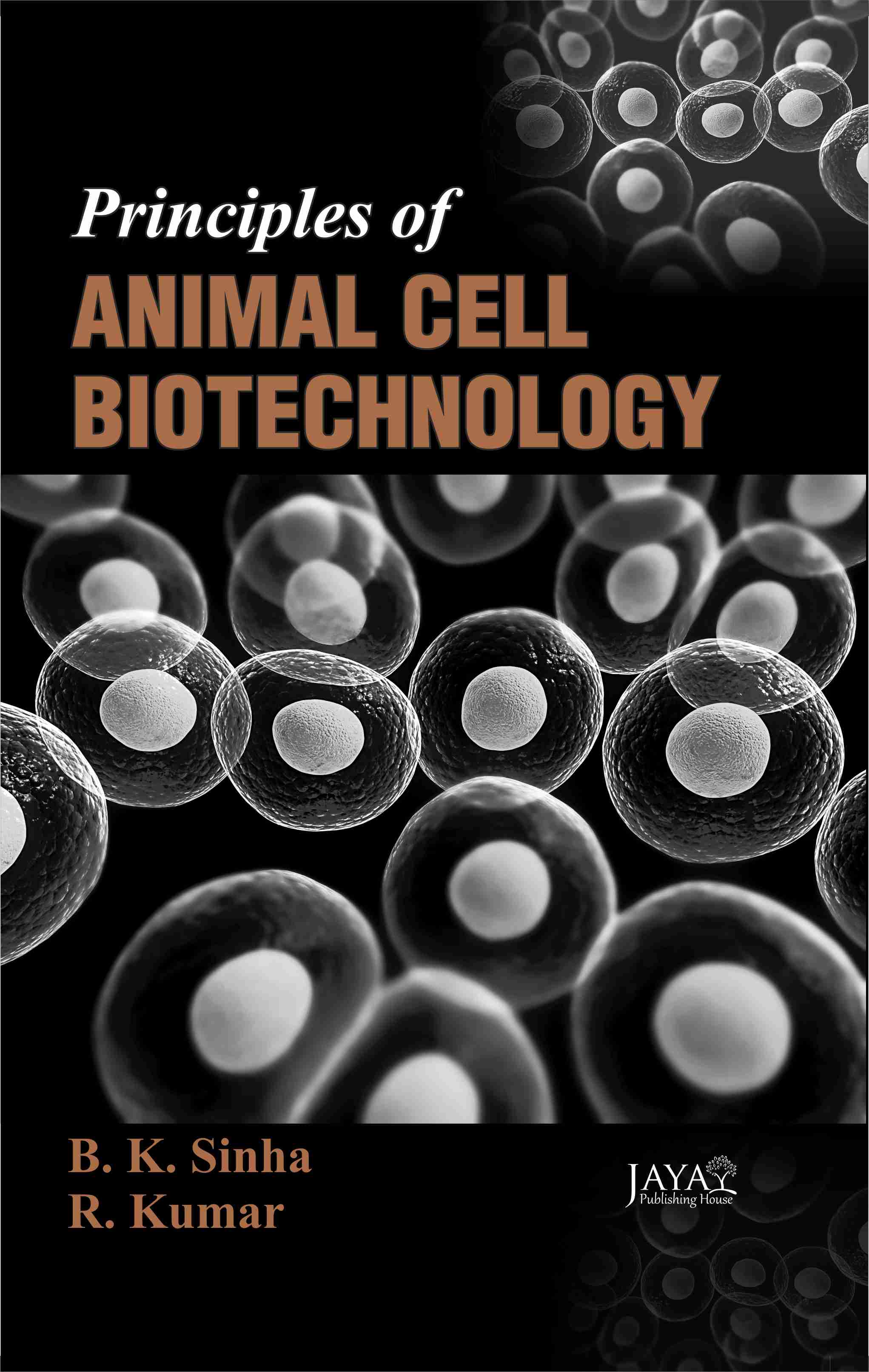 Principles of Animal Cell Biotechnology