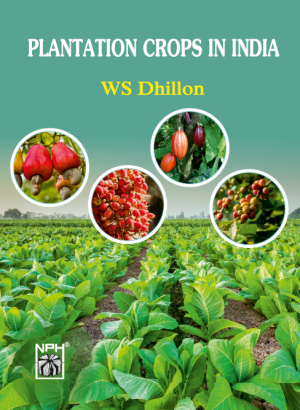 Plantation Crops In India