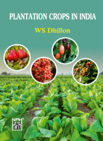 Plantation Crops In India